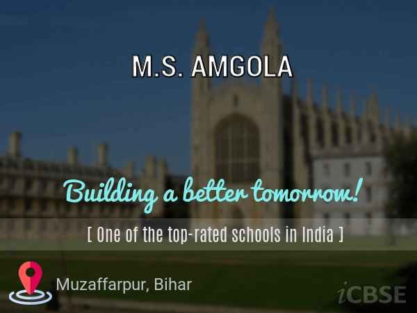 M.S. AMGOLA